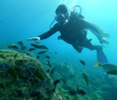 Pura Vida 度假居 普拉亚布兰卡